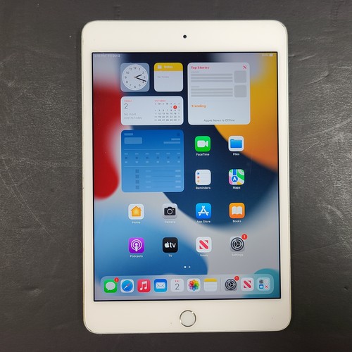 Apple ipad mini - 4, (4th