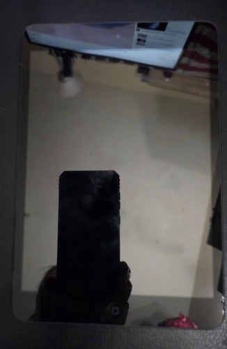 Apple ipad mini - ipad, a1432
