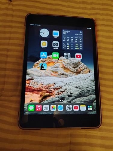 Apple ipad mini 32gb - ipad,